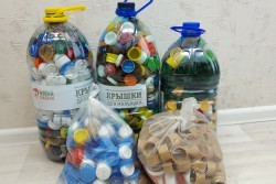 Экопросвет: школа № 52 заботится об экологическом воспитании детей