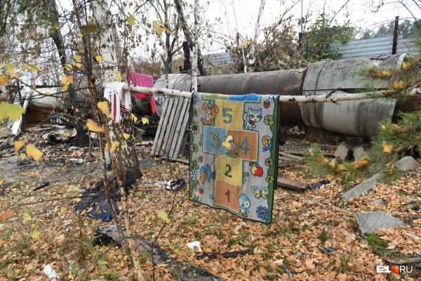 «Стеной проходим территорию, ворошим тряпки»: волонтеры ищут пропавшую Ксению Каторгину