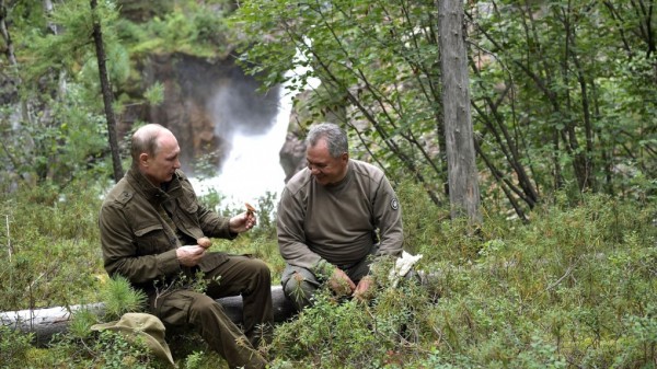 Владимир Путин сходил с Сергеем Шойгу за грибами перед Днем рождения. Видео