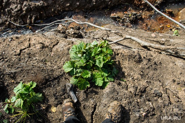 Уральские ученые нашли аномалии на месте самого сильного землетрясения века. ФОТО