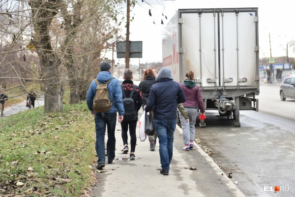 «Стеной проходим территорию, ворошим тряпки»: волонтеры ищут пропавшую Ксению Каторгину