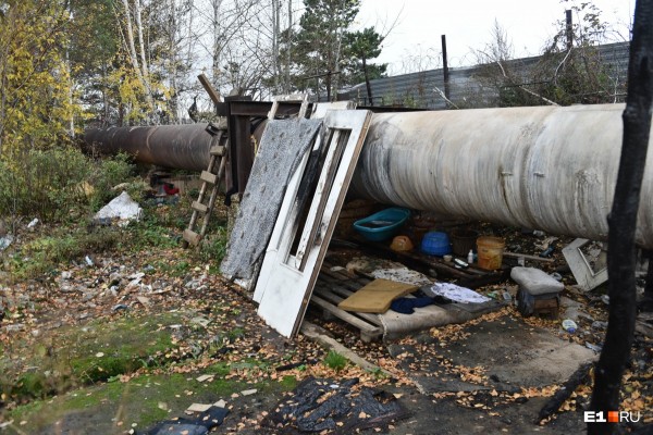 «Стеной проходим территорию, ворошим тряпки»: волонтеры ищут пропавшую Ксению Каторгину