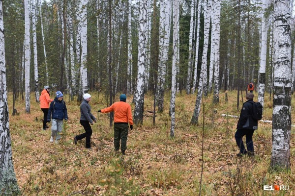 «Стеной проходим территорию, ворошим тряпки»: волонтеры ищут пропавшую Ксению Каторгину
