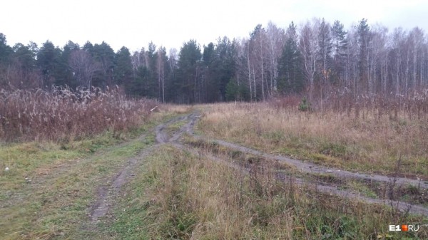 «Стеной проходим территорию, ворошим тряпки»: волонтеры ищут пропавшую Ксению Каторгину