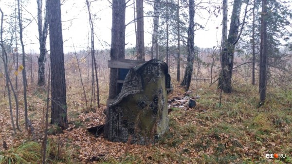 «Стеной проходим территорию, ворошим тряпки»: волонтеры ищут пропавшую Ксению Каторгину