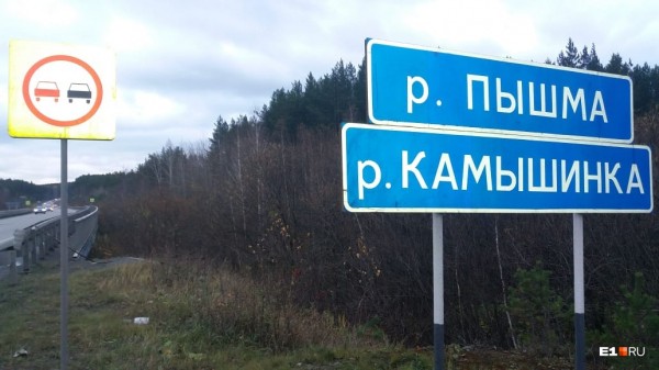 «Стеной проходим территорию, ворошим тряпки»: волонтеры ищут пропавшую Ксению Каторгину