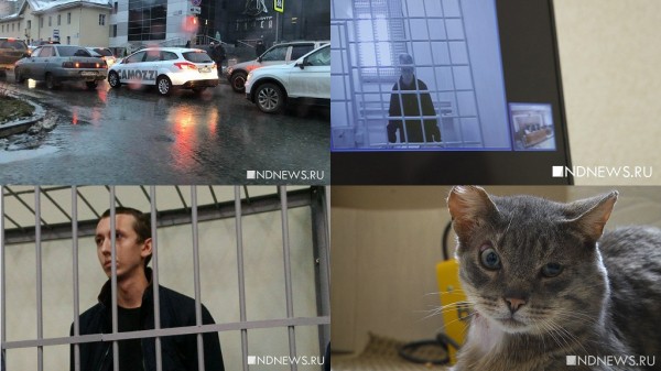 Астахов на свободе, Шадрин в администрации губернатора, скандал с экспертизой &ndash; итоги недели РИА &laquo;Новый День&raquo; (ФОТО, ВИДЕО)