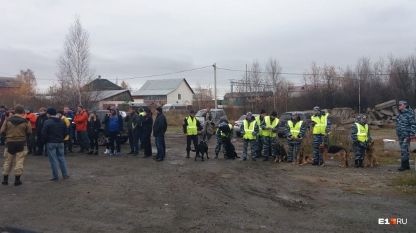 «Стеной проходим территорию, ворошим тряпки»: волонтеры ищут пропавшую Ксению Каторгину