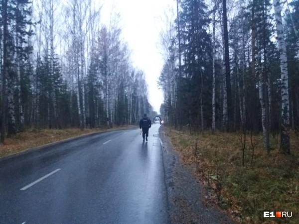 «Стеной проходим территорию, ворошим тряпки»: волонтеры ищут пропавшую Ксению Каторгину