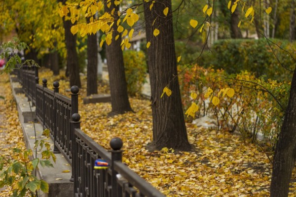 Тепло в Екатеринбурге начнёт постепенно отступать Тепло в Екатеринбурге начнёт постепенно отступать