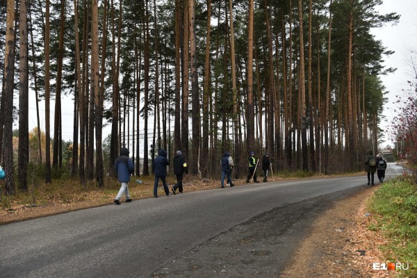 «Стеной проходим территорию, ворошим тряпки»: волонтеры ищут пропавшую Ксению Каторгину
