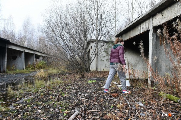 «Стеной проходим территорию, ворошим тряпки»: волонтеры ищут пропавшую Ксению Каторгину