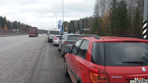 «Стеной проходим территорию, ворошим тряпки»: волонтеры ищут пропавшую Ксению Каторгину