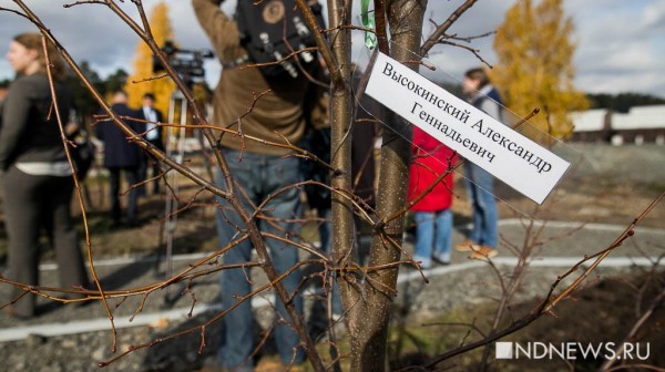 &laquo;Храмовые&raquo; разнарядки, чиновники-копатели и девочки в баню для депутата &ndash; итоги недели РИА &laquo;Новый День&raquo; (ФОТО, ВИДЕО)