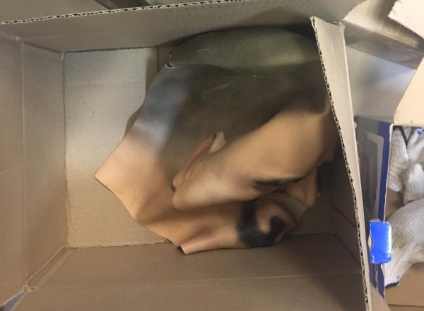 Грабитель банка был пьян. Подробности разбойного нападения на &laquo;Открытие&raquo; от СК (ФОТО)