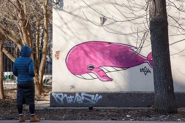 «Решаю, кому жить, а кому – нет»: как куратор «Синего кита» пытался довести меня до суицида