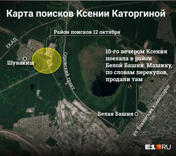 «Стеной проходим территорию, ворошим тряпки»: волонтеры ищут пропавшую Ксению Каторгину