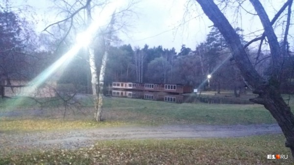 «Стеной проходим территорию, ворошим тряпки»: волонтеры ищут пропавшую Ксению Каторгину