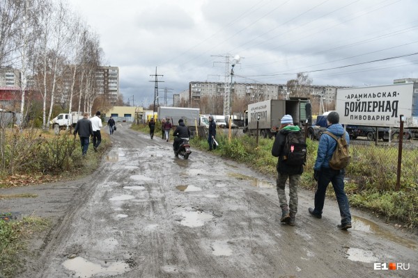 «Стеной проходим территорию, ворошим тряпки»: волонтеры ищут пропавшую Ксению Каторгину