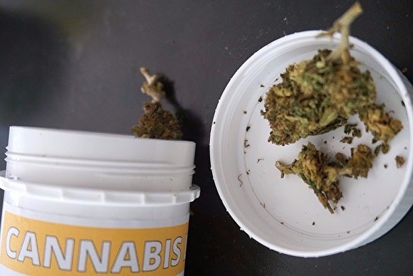 В Думу внесен законопроект об уголовной ответственности за пропаганду наркотиков в Сети