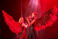 Городские власти поздравили дорожных и транспортных работников