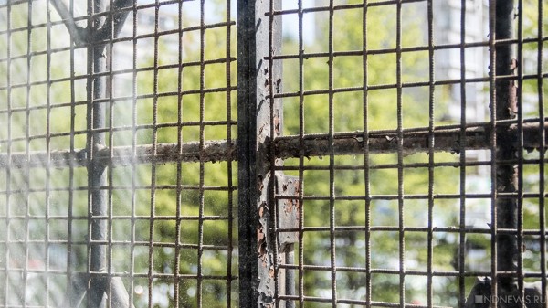 Литературная дуэль Бидонько, дележ бюджета и жажда власти – итоги недели РИА «Новый День» (ФОТО, ВИДЕО)