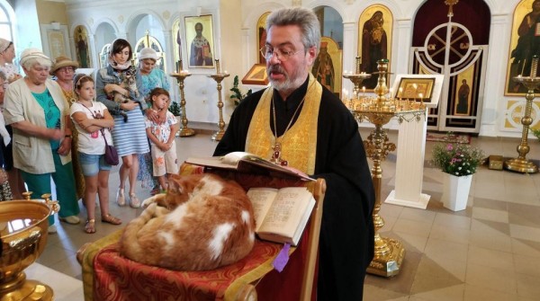 С божьей помощью: достроить стадион, устранить аварию и еще три необычные темы молебнов в России С божьей помощью: достроить стадион, устранить аварию и еще три необычные темы молебнов в России