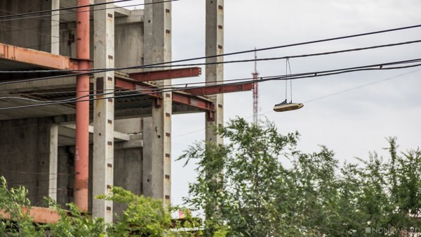 В Екатеринбурге задумались над озеленением крыш новостроек В Екатеринбурге задумались над озеленением крыш новостроек
