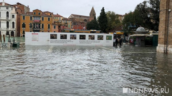 В Венецию пришло новое наводнение, площадь Святого Марка закрыта для туристов (ФОТО, ВИДЕО)