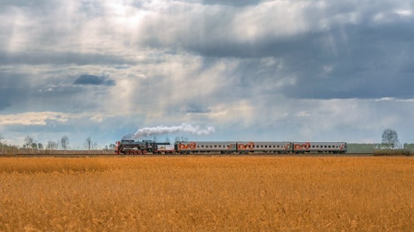 Появилось приложение-гид для пассажиров поездов. Оно расскажет все о местах, где вы проезжаете