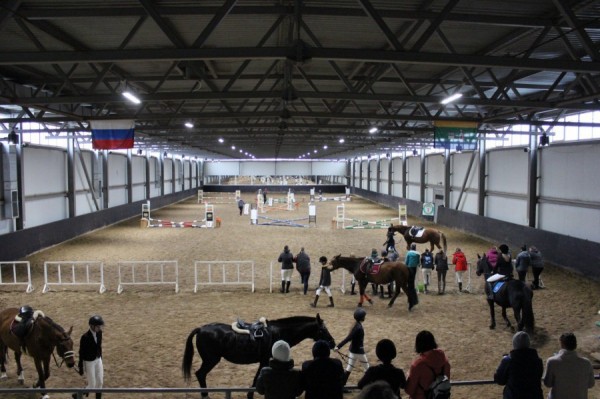 Городские власти отремонтируют уникальную конную школу в посёлке Исток
