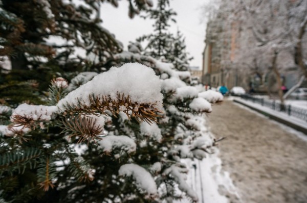 Спасатели предупредили уральцев о сильном снеге и метели