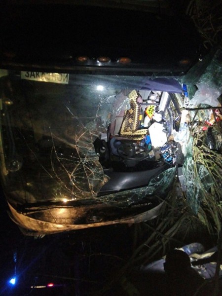 В Нижегородской области автобус перевернулся на трассе: 20 человек пострадали В Нижегородской области автобус перевернулся на трассе: 20 человек пострадали