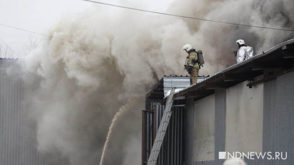 На пожаре в Екатеринбурге расширяют зону эвакуации (ФОТО, ВИДЕО) На пожаре в Екатеринбурге расширяют зону эвакуации (ФОТО, ВИДЕО)