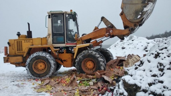 В Свердловской области раздавили 1,4 тонны санкционных яблок и винограда (ФОТО, ВИДЕО) В Свердловской области раздавили 1,4 тонны санкционных яблок и винограда (ФОТО, ВИДЕО)