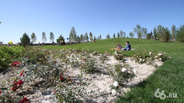 Как благоустроить парки в Екатеринбурге, чтобы никого не обидеть. Шесть карточек