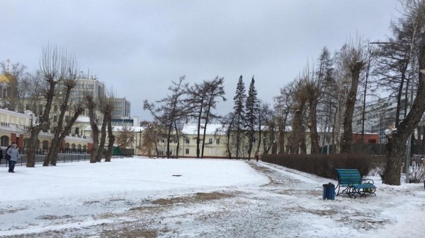 Строители филармонии ответили «Паркам и скверам», которые собрались защищать вековые липы в саду Вайнера