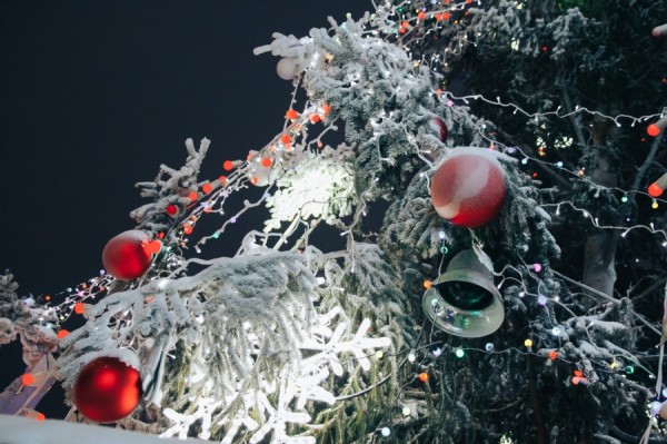 Новый год близко: где можно провести предпраздничные будни и каникулы?