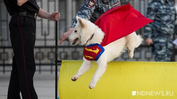 Фотоитоги. Кадры, которые помогут не забыть 2019-й (ФОТО) Фотоитоги. Кадры, которые помогут не забыть 2019-й (ФОТО)