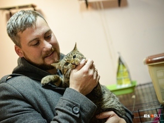 Саратовский дальнобойщик забрал из Екатеринбурга котенка, которого спас на трассе