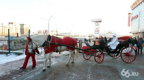 Как правильно писать письмо Деду Морозу. 6 шагов к заветному подарку от волшебника