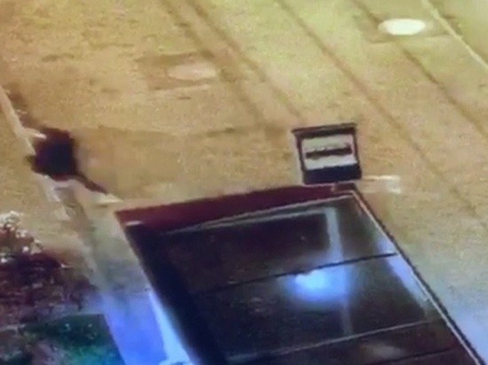 Перед судом предстанет курганец, сломавший остановку