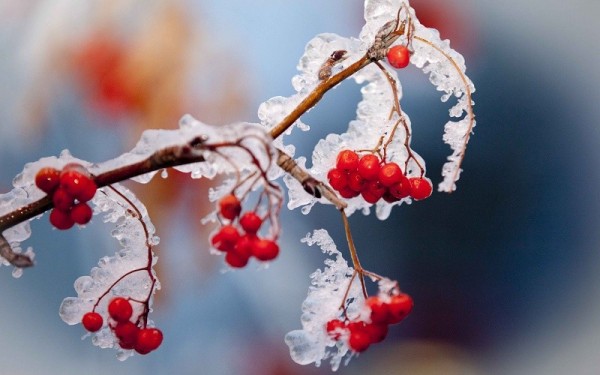 В выходные в Екатеринбурге резко похолодает