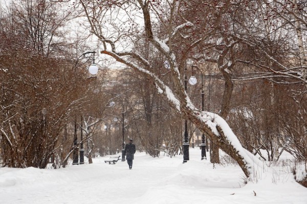 Синоптики дали прогноз погоды на последние дни уходящего года Синоптики дали прогноз погоды на последние дни уходящего года