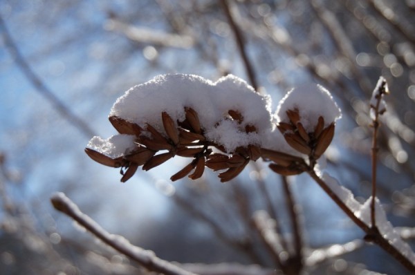 Синоптики пообещали похолодание под конец недели
