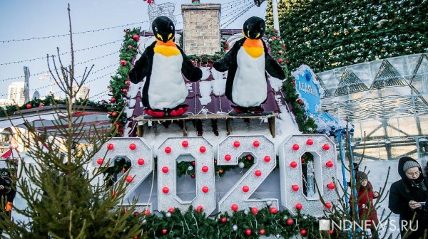 Подготовка к Новому Году, драка в управлении культуры и «победно-ледовый» городок – итоги недели от РИА «Новый День»