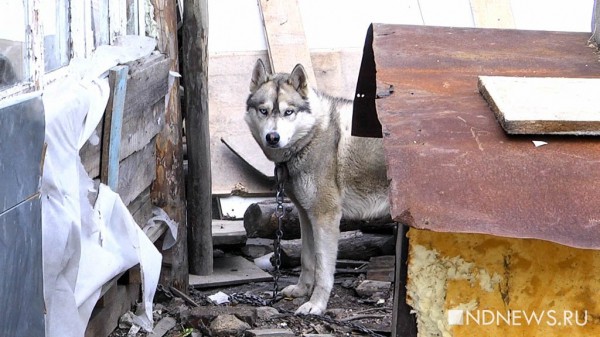 Фотоитоги. Кадры, которые помогут не забыть 2019-й (ФОТО) Фотоитоги. Кадры, которые помогут не забыть 2019-й (ФОТО)