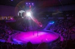 Чудо-Ёлка зажглась на арене цирка для детей из малообеспеченных семей