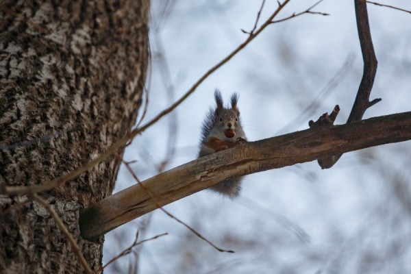 Какую погоду в Екатеринбург принесёт пятница 13-е?