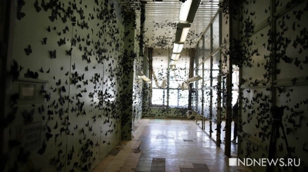 Фотоитоги. Кадры, которые помогут не забыть 2019-й (ФОТО) Фотоитоги. Кадры, которые помогут не забыть 2019-й (ФОТО)